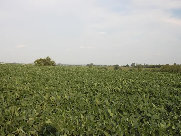 2200 Spencer Rd, Mount Sterling, KY 40353
