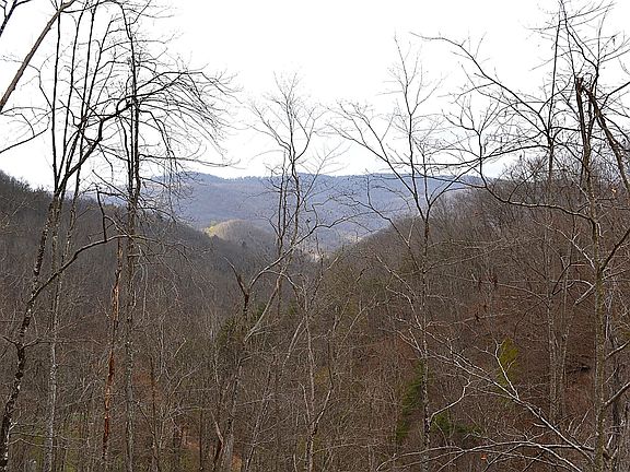 2nd image of Snake Run Rd