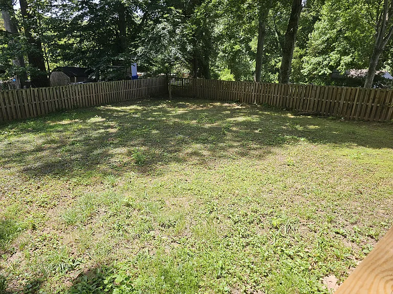 Backyard