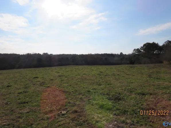 7 Pea Ridge Rd, Crossville, AL 35962