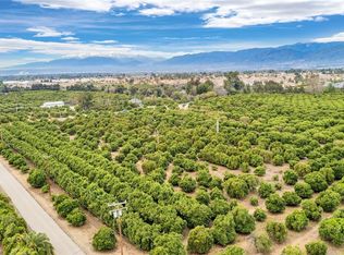 31342 3rd Ave, Mentone, CA 92359