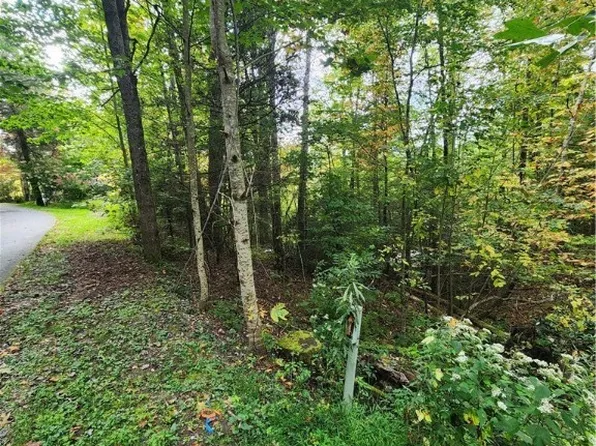 72 Sourwood Knoll, Newland, NC 28657