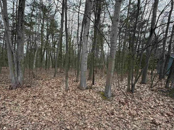 Gaston Way, Oscoda, MI 48750
