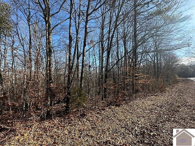 1st image of 0 Fred Jones Rd
