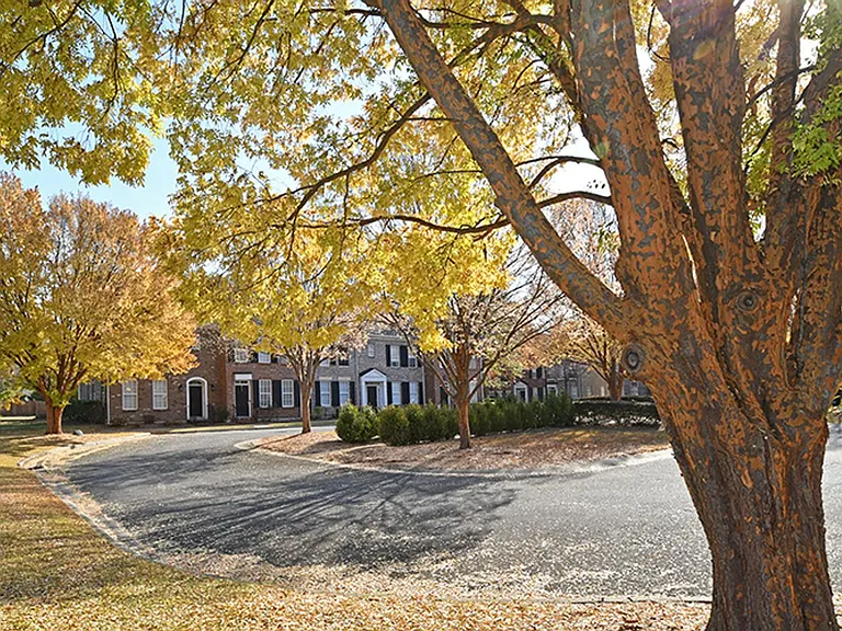 8643 Beaver Creek Dr — Photo 30