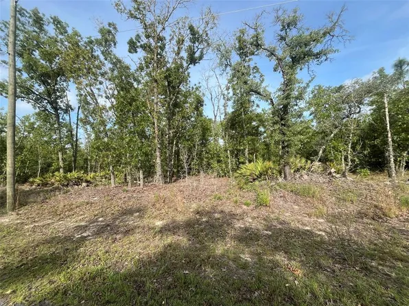 1321 W Delores Dr Lot 12, Dunnellon, FL 34434