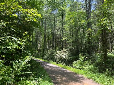 0 Tinker Branch Rd, Reliance, TN, 37369