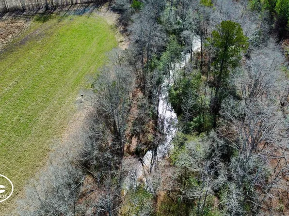 0 County Road 26 S, Bankston, AL 35542