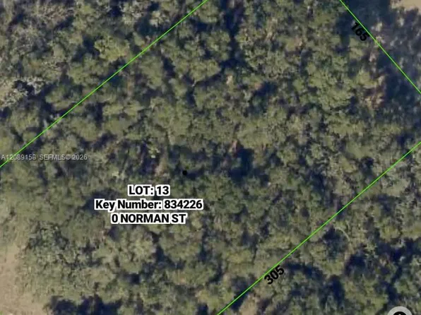 0 Norman St, Webster, FL 33597