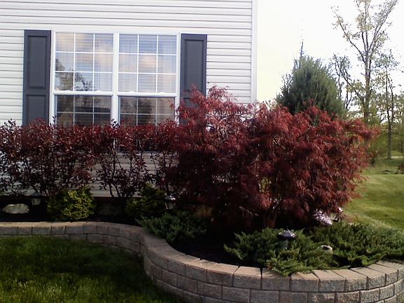 3rd image of 2154 Prestwick Ct