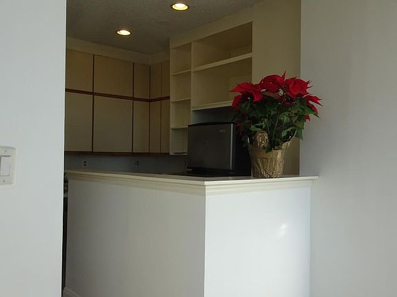 Open Kitchen, View from Dining Room