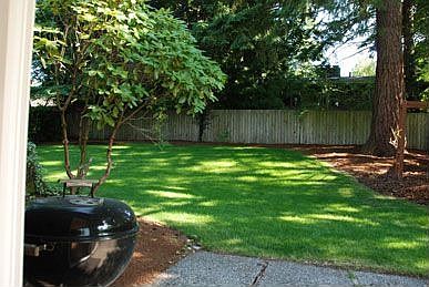 Summer Oasis Backyard