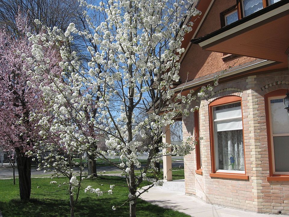 Springtime 388N 100E