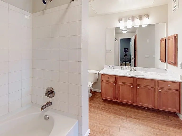 Apartment bathroom with wood-style flooring.
