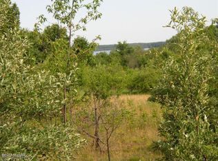 9012 Potter Rd, Bear Lake, MI 49614