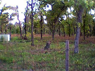 Roadside View