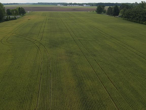 3rd image of 0 County Road 25a S