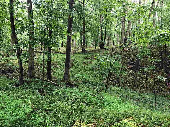 5th image of 1232 Carlisle Whitmire Hwy