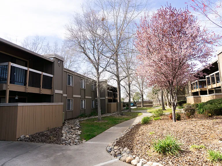 Fountain Grove — Photo 19