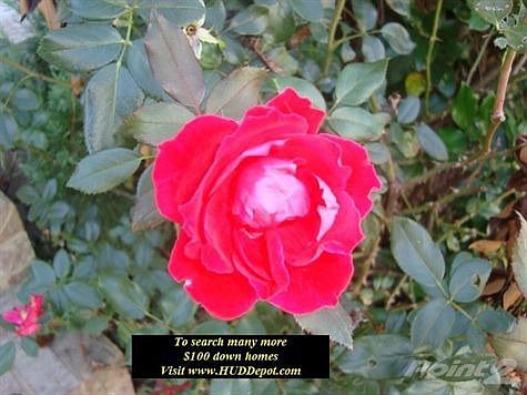 We Provide a 1 year warranty on HUDS when you use us_073