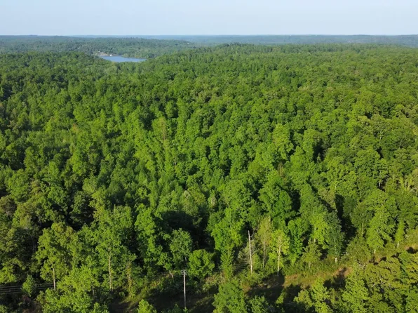 0 Brodies Landing Rd Lot 22, Parsons, TN 38363