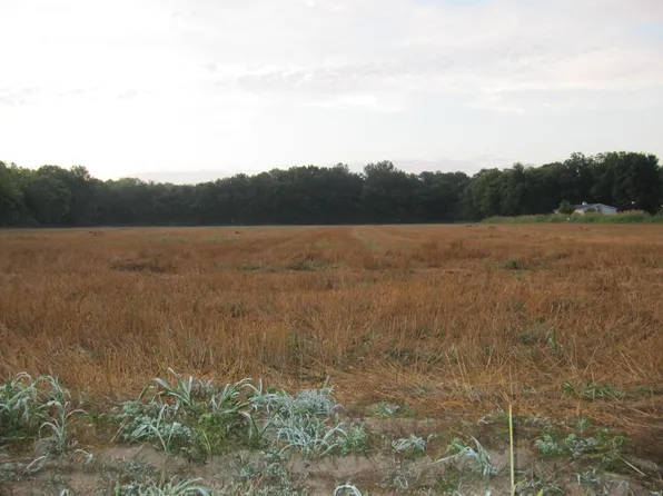 11170 Harrison Lake Rd, Festus, MO 63028
