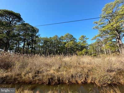 11006 Riley Roberts Rd, Dames Quarter, MD, 21821