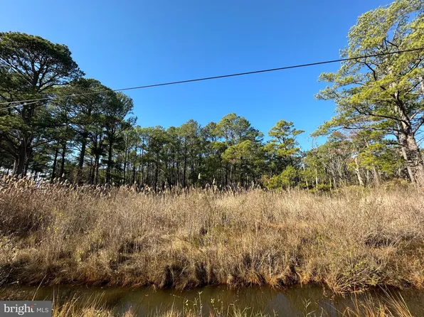 11006 Riley Roberts Rd, Dames Quarter, MD 21821