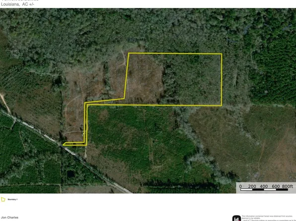 Dido Loop Lot Wp004, Pitkin, LA 70656