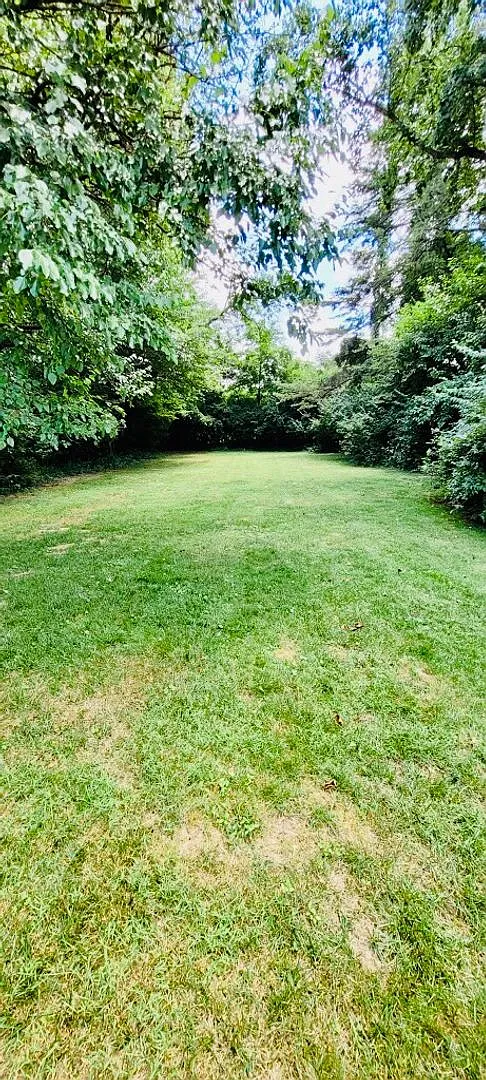 Great location -2BR, 2BA with Yard and Garage — Photo 4