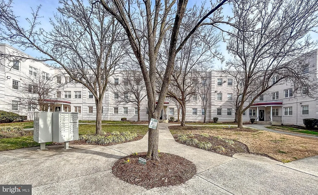 1 bed, 596 sqft, $1,400 — Photo 2