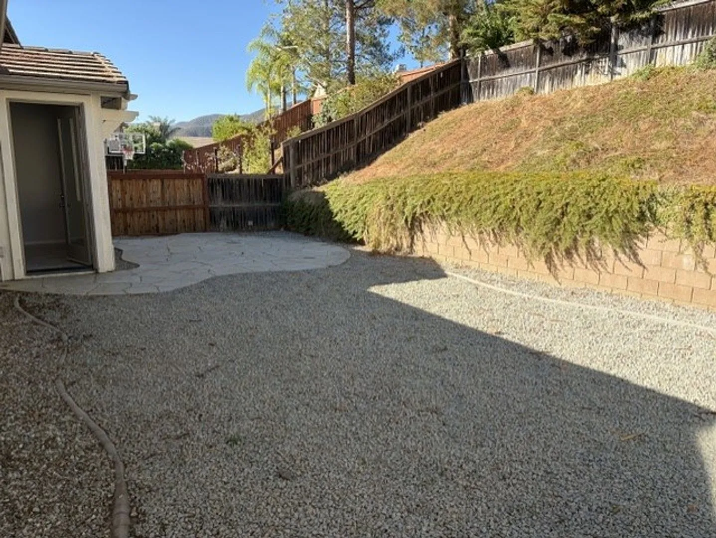 spruce — Photo 3