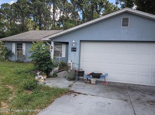 11234 Elgin Blvd, Spring Hill, FL 34608
