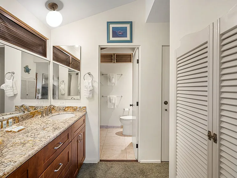 Wailea Alanui Dr — Photo 29