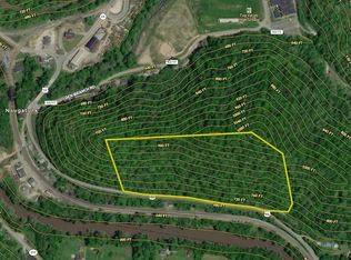 1000 Us Highway 52, Williamson, WV 25661