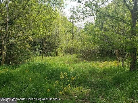 2nd image of 0 Forge Rd