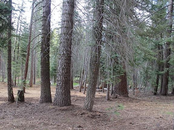 2nd image of 57413 Ponderosa Dr