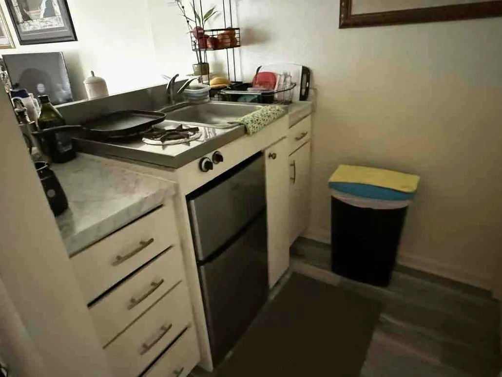 1 bed, 348 sqft, $2,100 — Photo 3