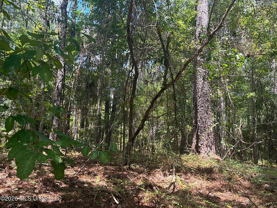 2nd image of 0 Lexington Ln