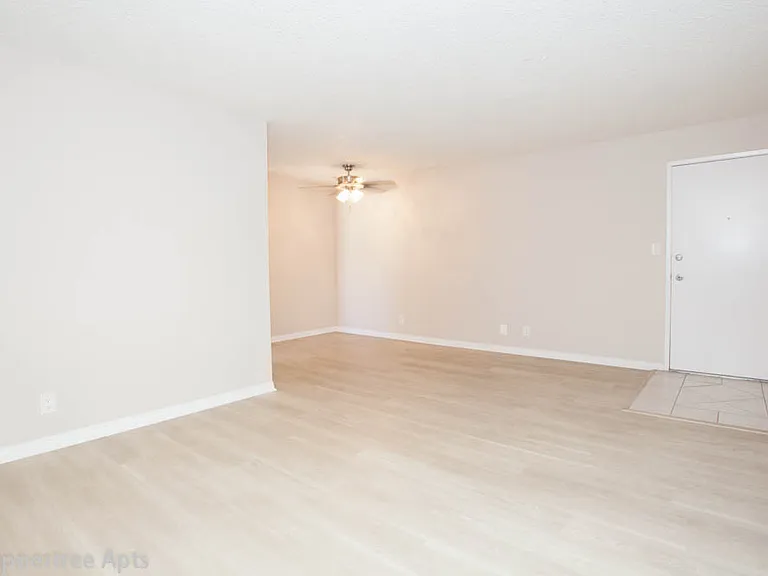 Peppertree Apartments — Photo 10