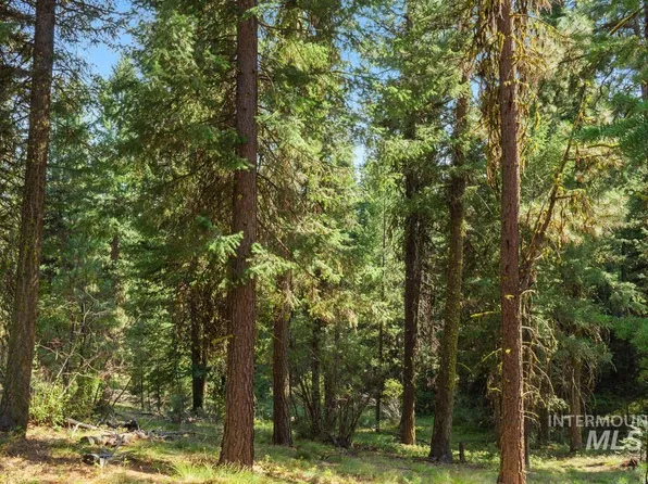 140 Little Donner Dr, Cascade, ID 83611