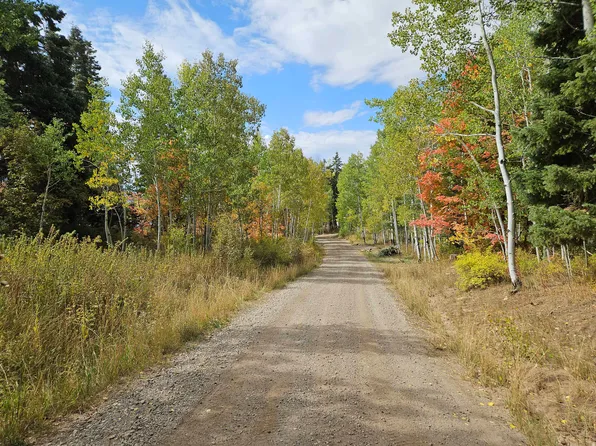 29 E Deer Valley Dr S, Fairview, UT 84629