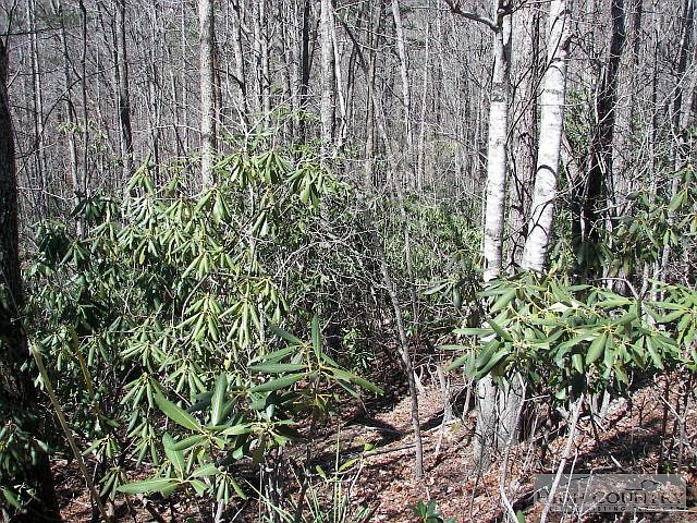 2nd image of Tbd Powder Horn Mountain Road