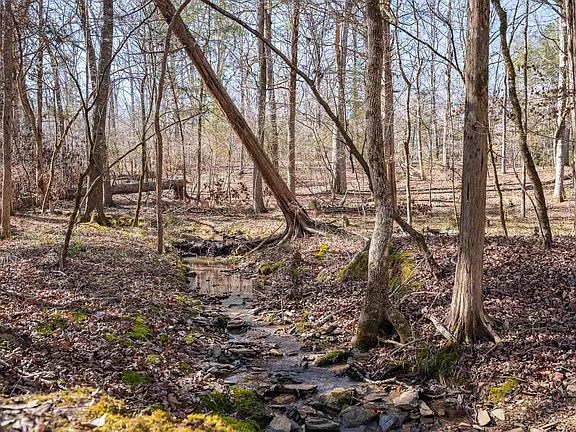 4th image of 1142 Osheal Rd #6