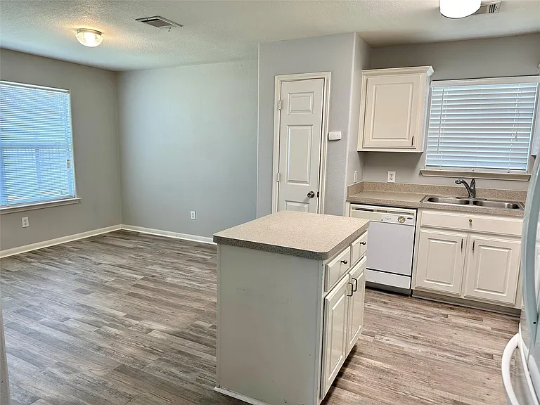 29006 Trinity River Dr — Photo 6
