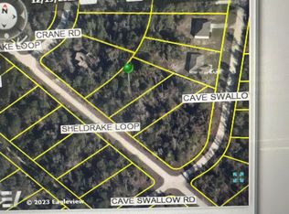 0 Sheldrake Loop, Brooksville, FL 34614