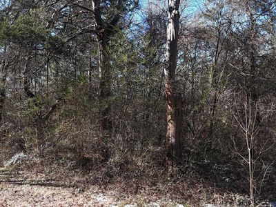 Armour St, Mena, AR, 71953