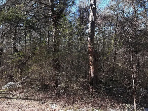 Armour St, Mena, AR 71953