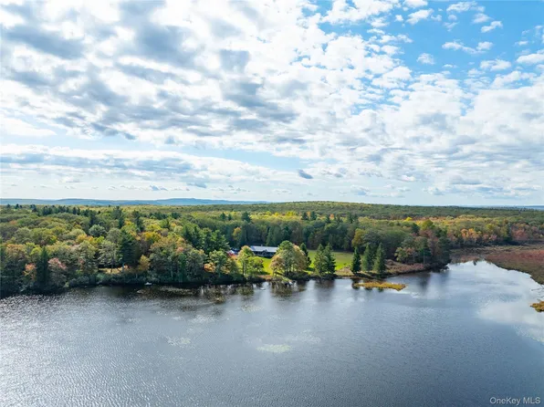 3 Big Lake Road, Huguenot, NY 12746