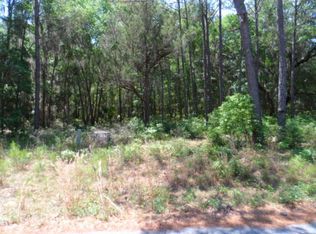 2 Woodstork Way NE, Townsend, GA 31331